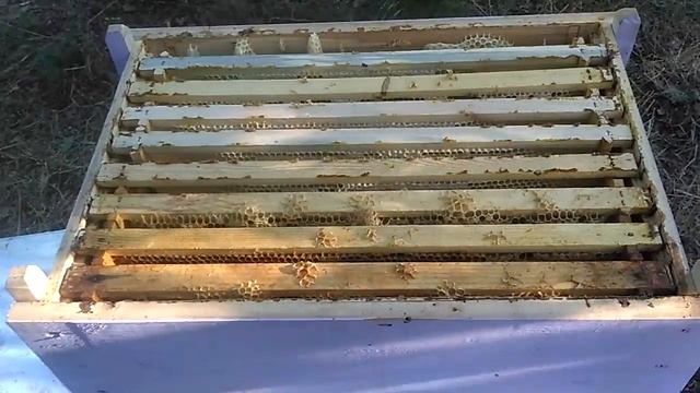 Рогатый улей. Снова о размерах... смотреть онлайн