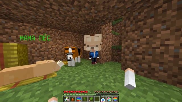 ? Майнкрафт но СЕМЬЯ СОБАК ПРИРУЧИЛИ НАС! смотреть онлайн
