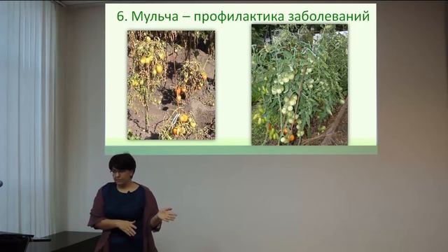 Мульчирование - что это такое и зачем это нужно. смотреть онлайн