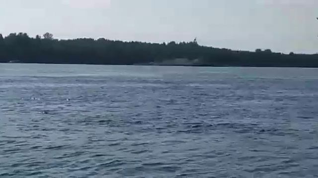 Сергей Григорьев смотреть онлайн