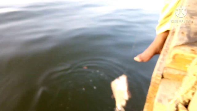 Fishing at Shah Hasan near port Qasim Karachi смотреть онлайн