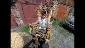 Трон из корней дерева в рустикальном стиле. Деревянный стол из корней и коряг и кресло из сувеля...