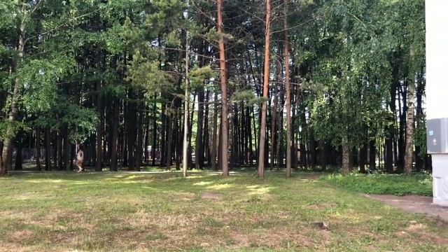 Как попасть в прошлое и можно ли съесть иголки? смотреть онлайн