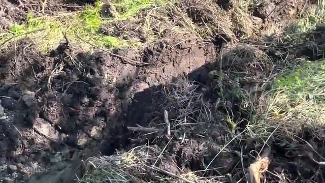 Пушистая контрабанда. смотреть онлайн