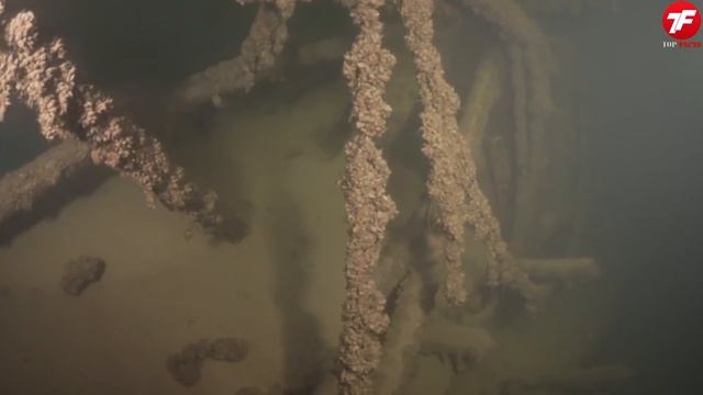 Найден Самый Древний Заброшенный Корабль в Мире - Вы Должны ЭТО Увидеть смотреть онлайн