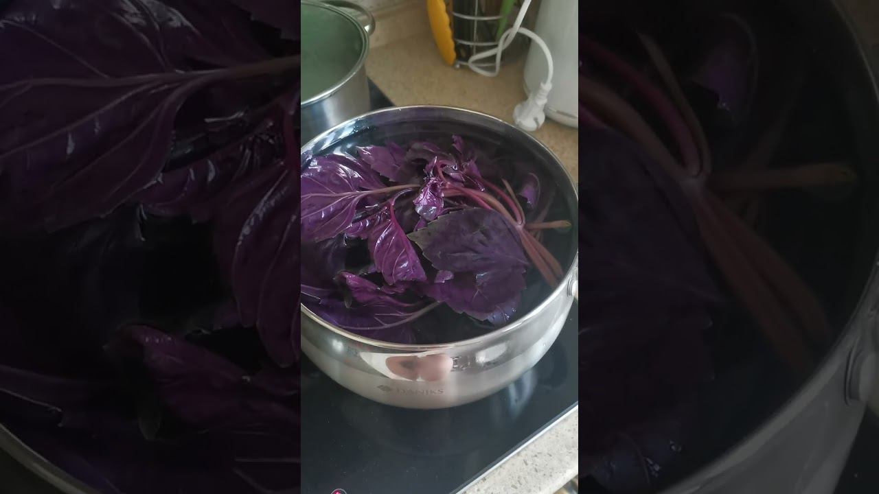 Канал Калугина Александра