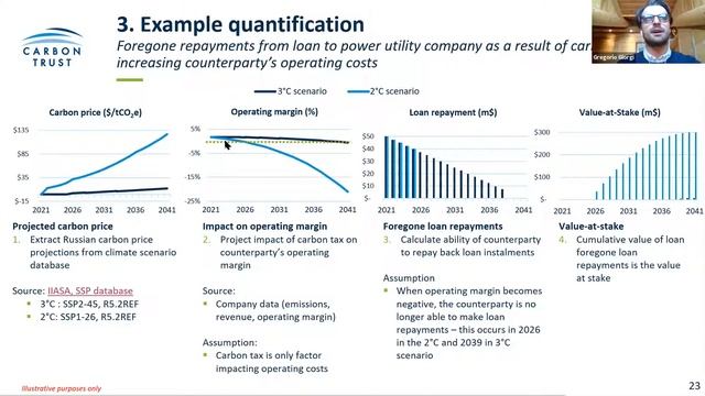 RAEX Sustainability webinar 40 - Климатические риски для банковского сектора смотреть онлайн