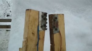 Простой прибор (парализатор) для забоя свиней