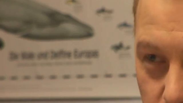 BETA Оснастка для заводов ЖБИ www.beta-mb.de смотреть онлайн