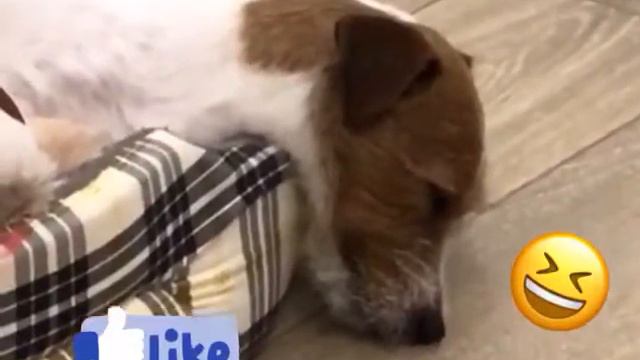 Спокойной ночи у кого ночь (у меня нет)😴😏 смотреть онлайн