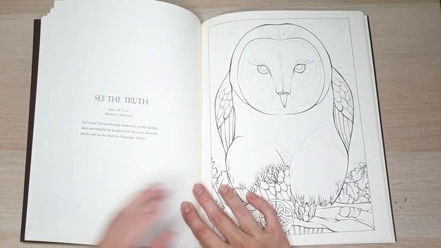 SPIRIT ANIMAL Coloring Book By Ravynne Phelan / Flip Through