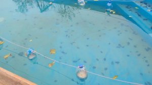 Консервация бассейна на зиму! Подготовка Бассейна к Зиме!