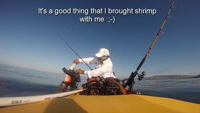 Kayak fishing the Dana Point Kelp Forest смотреть онлайн