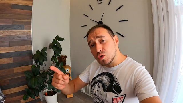 Собака Алабай НАПАЛА на Девочку с щенком смотреть онлайн