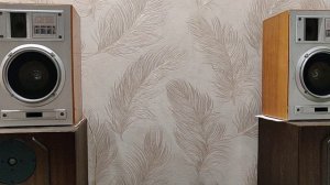 Акустическая система 15АС 220 (кантата)