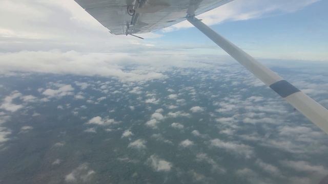 au-dessus de la forêt guyanaise à perte de vue. смотреть онлайн