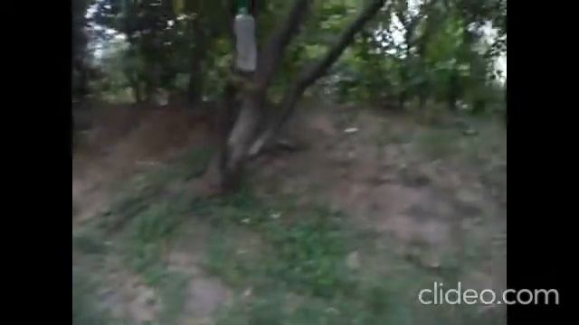 ВЛОГ. Гренки и суп. Жареная картошка с огурцом. Сварила суп. Кошки и Сюзя. Салат. Прогулка. Рыжий