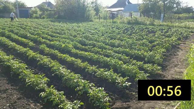 Лента туман не обычное приминение. смотреть онлайн