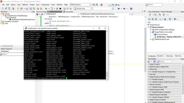 Creating a REST Server on Apache Linux using Delphi and TMS XData - Part 3: WebBroker Apache module смотреть онлайн
