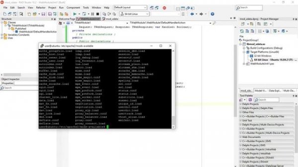 Creating a REST Server on Apache Linux using Delphi and TMS XData - Part 3: WebBroker Apache module