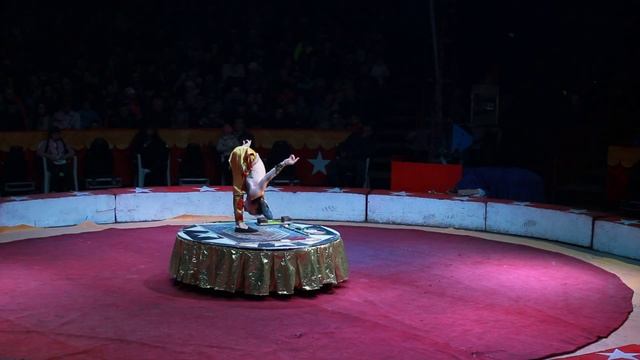 Игорь Дасов -- человек -- пластилин смотреть онлайн