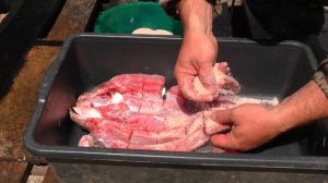 БАЛЫК ИЗ ЖЕРЕХА.Как разделать рыбу.Рецепт проще не куда.