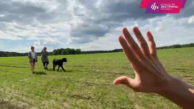 Покататься на багги, гонки на багги, туры на багги, аренда багги: Экстремальные развлечения АХАА. смотреть онлайн
