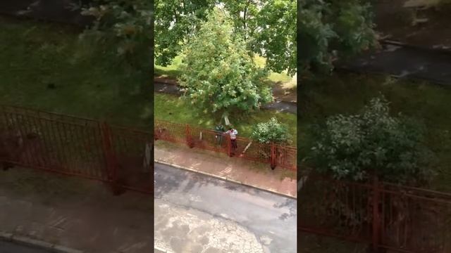 Негр красит ! смотреть онлайн