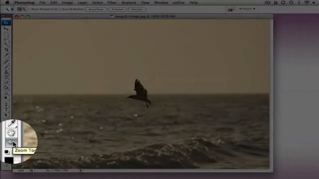 Photoshop Zoom Tool and Workspace Tutorial смотреть онлайн