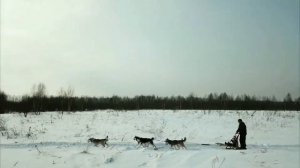 "Я ВЕЗУ ТЕБЕ ПОДАРКИ"  Виталий Аксёнов муз. ролик