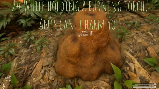 5 Things You May Not Have Known About Green Hell смотреть онлайн