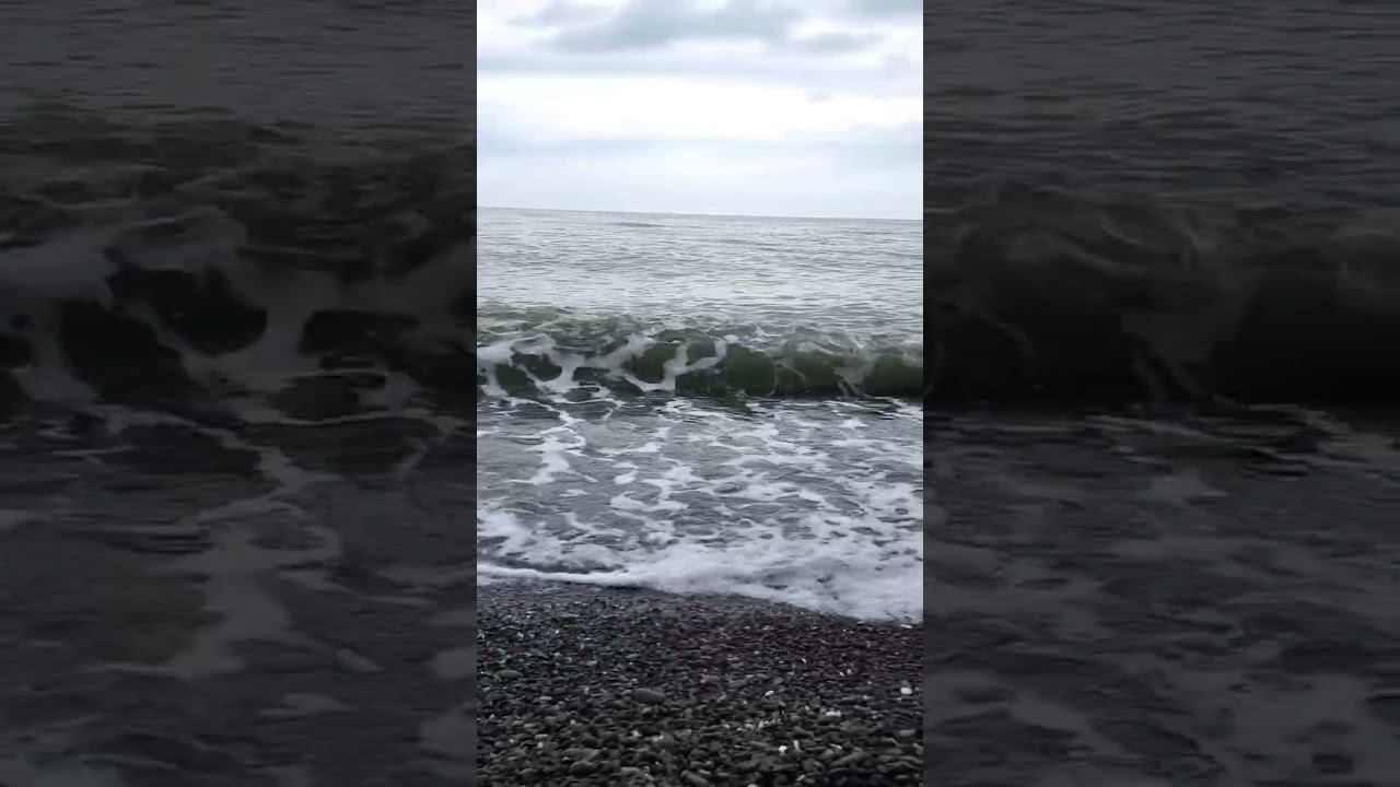 04.03.23 г. Погода Сочи #shorts #погодалазаревское #погодасегодня смотреть онлайн