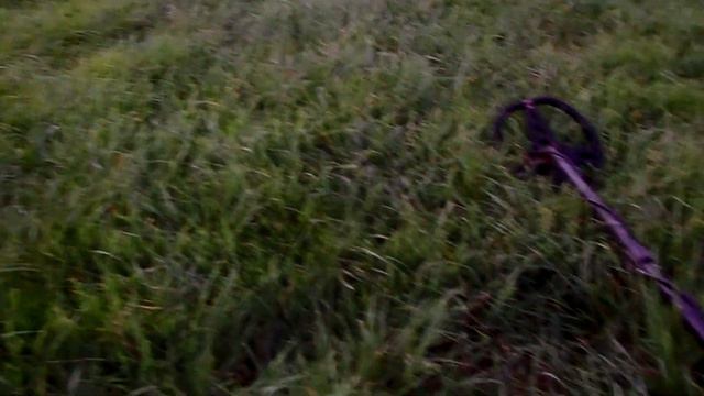 Perfect metal detecting evening смотреть онлайн