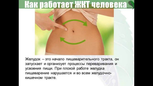 ▼Нормальная Работа ЖКТ▼|▼Normal'naja Rabota ZhKT▼ смотреть онлайн