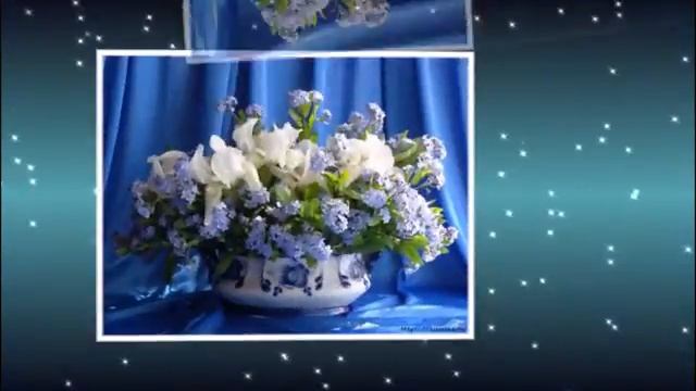 Букет незабудок смотреть онлайн