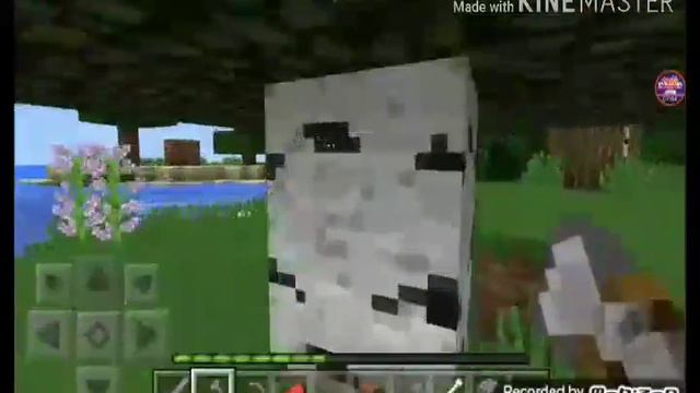 Новые приключения Давида и Вениамина на острове 2# смотреть онлайн