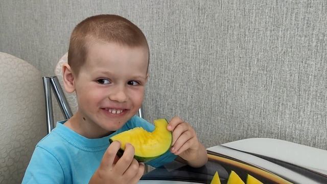 Арбуз выращенный на балконе, дегустация. Арбуз Фейеверк смотреть онлайн