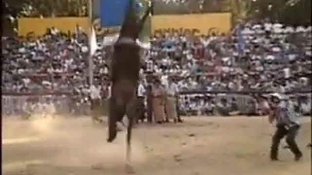 Ни в коем случае не сдавайтесь смотреть онлайн