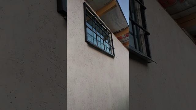 Провожу электричество в птичник // каркасный птичник // монтаж СИП провода 2*16 смотреть онлайн