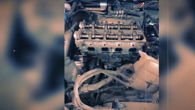 Chiuloass Ford focus 1.6 16v смотреть онлайн