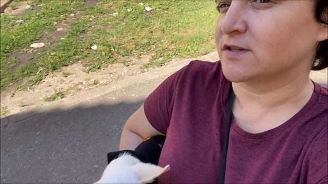 ЕДЕМ в КУРОВСКОЕ ЗА ДИВАНОМ И ЕДОЙ * ОБЗОР ПОКУПОК * ЗАВТРАК МИНИМАЛИСТА ? ДАЧНЫЕ ХЛОПОТЫ смотреть онлайн