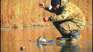 ПЕРВЫЙ ЛЁД. АКТИВНЫЙ КЛЁВ. ЖЕРЛИЦЫ и первые щуки. Зимняя рыбалка