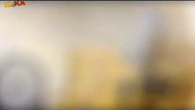 Berndivent - Der Mann mit den zwei Nasen смотреть онлайн