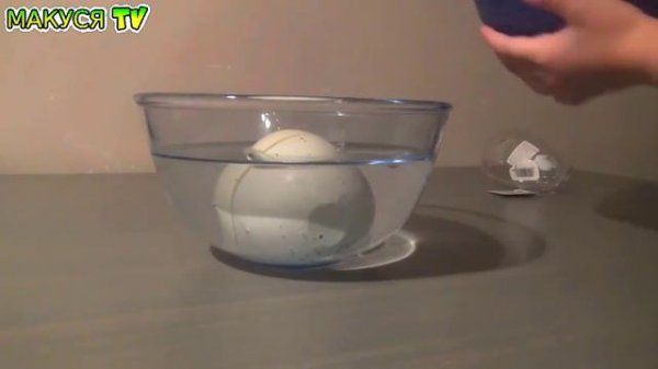 Dinosaur Egg Яйцо Динозавра Выращиваем Динозавра