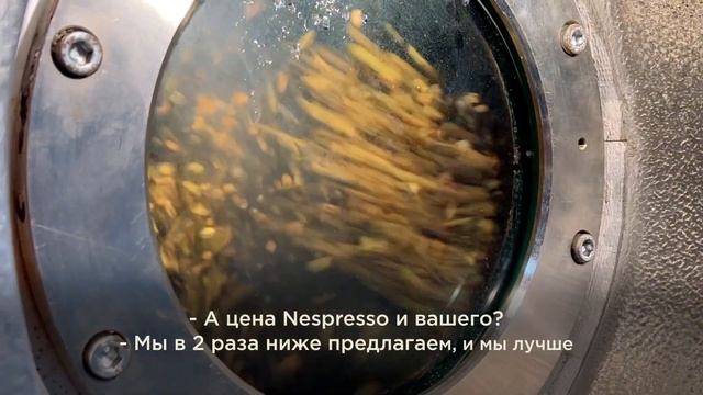 «Цена в два раза ниже и мы лучше!»: 25-летний юбилей производителя кофе в Рузе смотреть онлайн