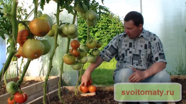 Шунтукский великан смотреть онлайн