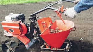 Посадка картошки мотоблоком Ока.