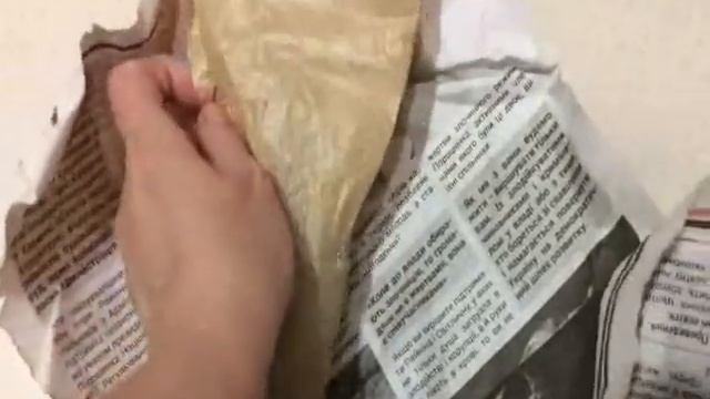 Phal Miki Black Angel peloric смотреть онлайн