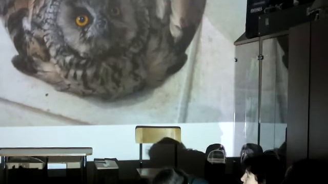 Содержание дома диких птиц смотреть онлайн