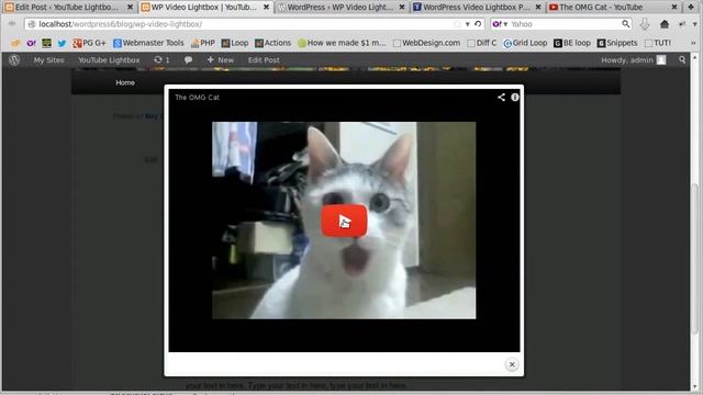 Top WP Video Lightbox WordPress plugin смотреть онлайн